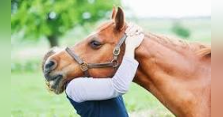 image for Finding Ground: Why Equine Therapy Is a Powerful Ally for Mental Health