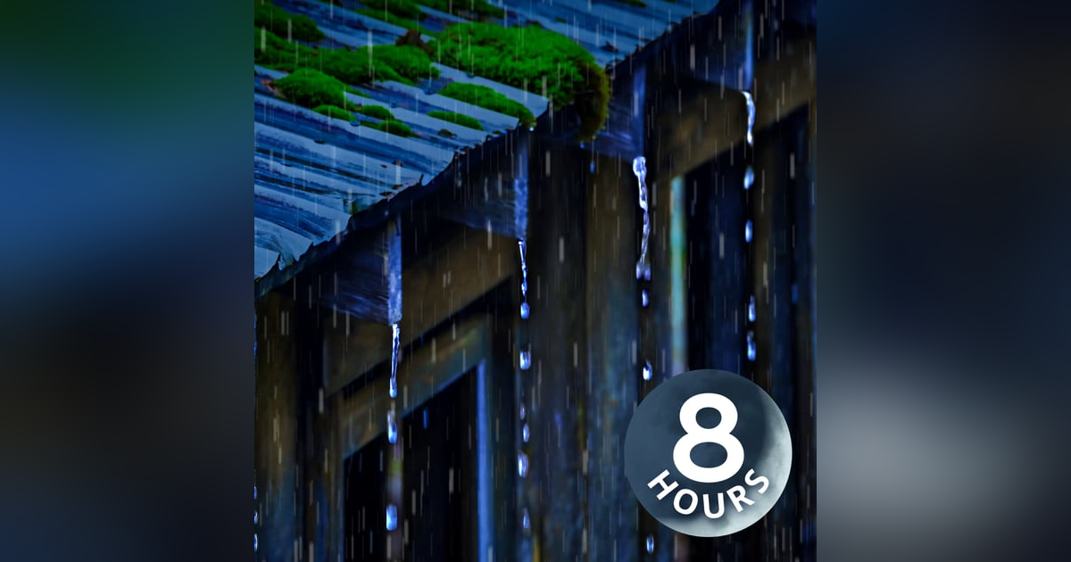 Fall Asleep & Relax with Rain Noise on a Tin Roof | 8 Hours Fall Asleep & Relax with Rain Noise on a Tin Roof | 8 Hours