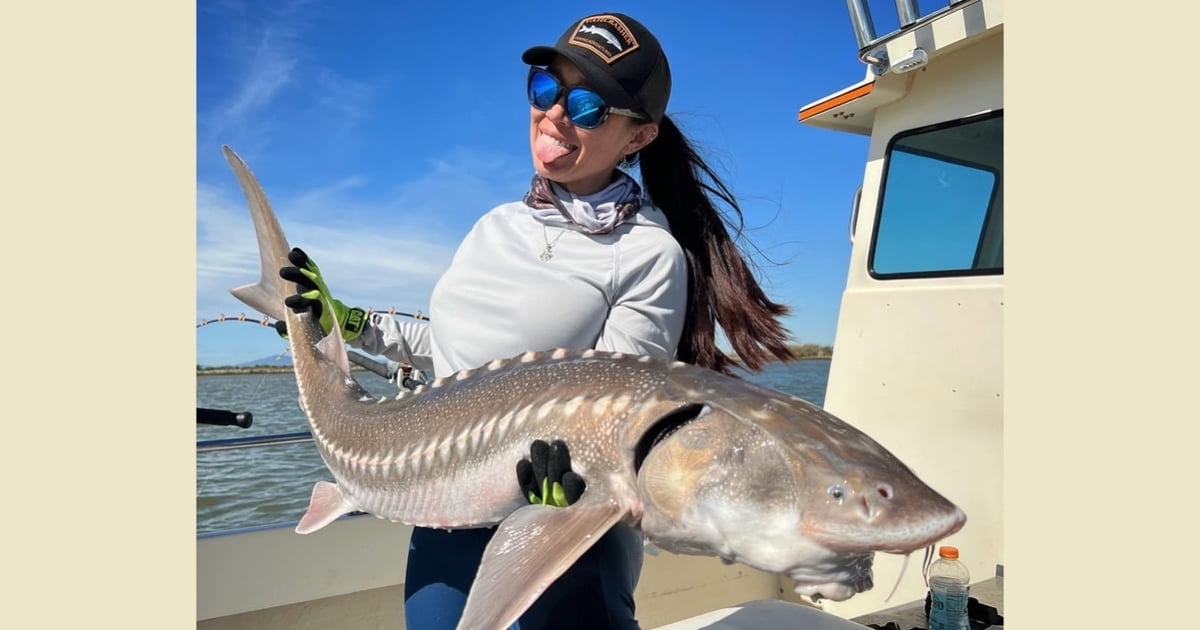 EP. 229 Fishing for Dinosaurs With Captain Virginia Salvador: San Francisco Sturgeon EP. 229 Fishing for Dinosaurs With Captain Virginia Salvador: San Francisco Sturgeon