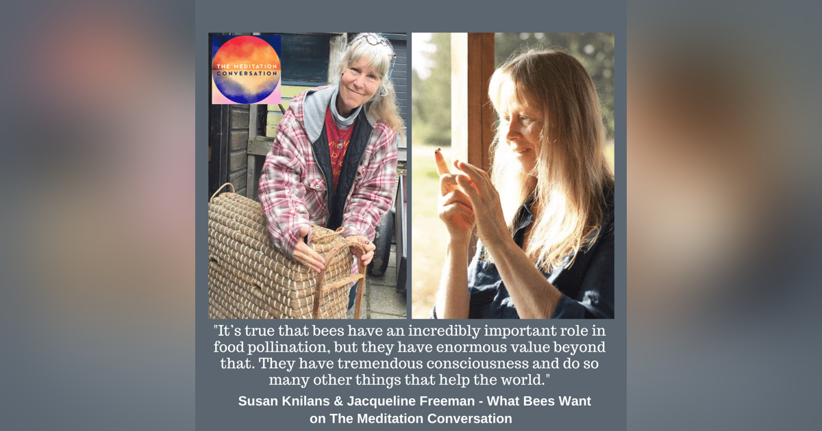 167. Mystical Bees - Jacqueline Freeman and Susan Knilans 167. Mystical Bees - Jacqueline Freeman and Susan Knilans