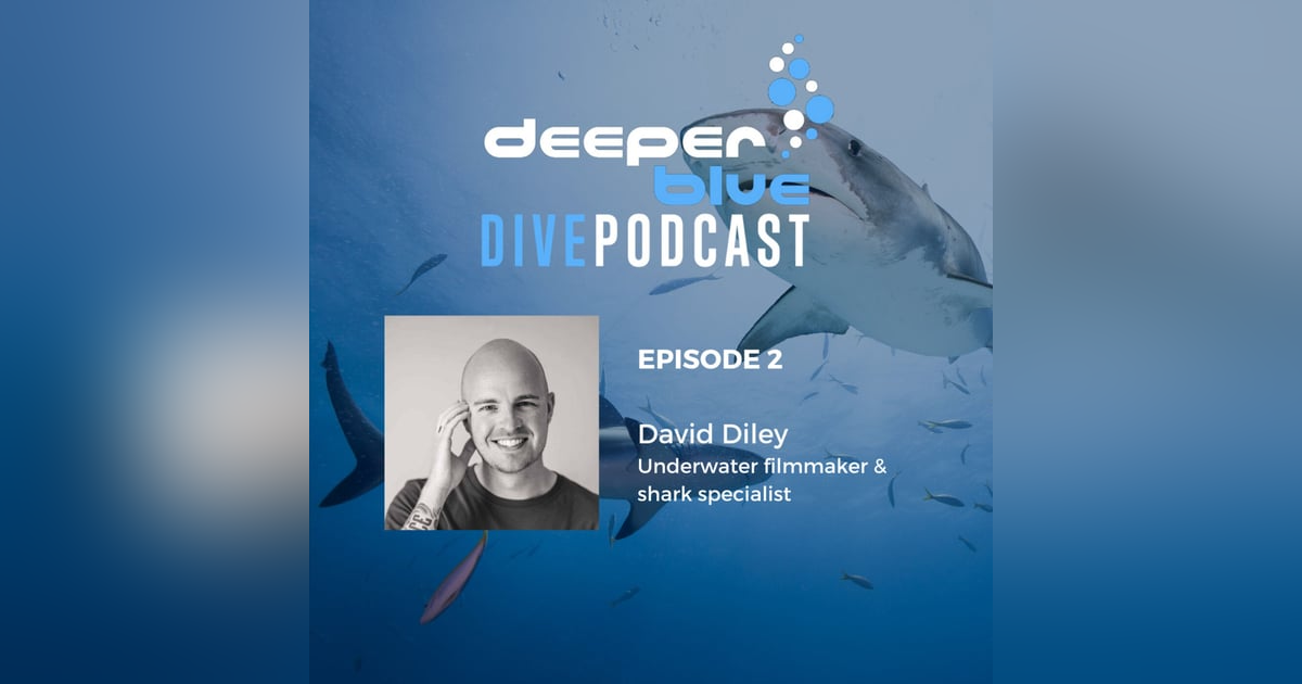 The Day Diving Stood Still, and Underwater Cameraman David Diley The Day Diving Stood Still, and Underwater Cameraman David Diley