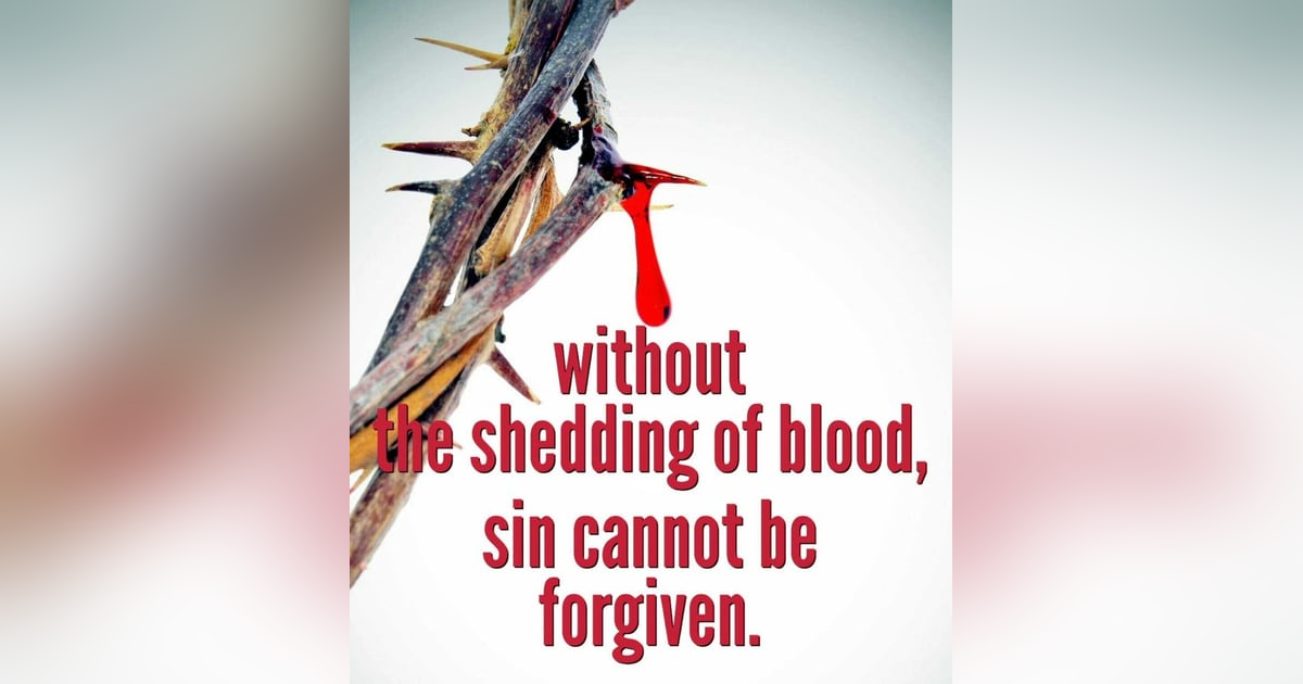 How Does the Blood of Jesus Cleanse People - Isn't The Bible's Focus on Blood a Bit Strange? #73 Reading Hebrews 9. How Does the Blood of Jesus Cleanse People - Isn't The Bible's Focus on Blood a Bit Strange? #73 Reading Hebrews 9.