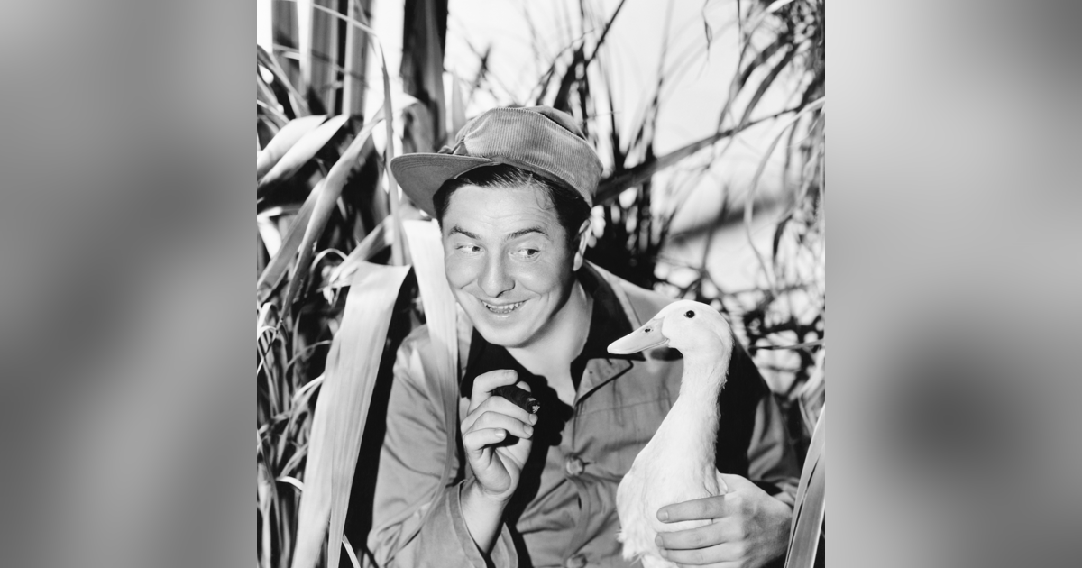 Breaking Free from Your Inner Duck: Insights from Author Birgitta Granström Breaking Free from Your Inner Duck: Insights from Author Birgitta Granström