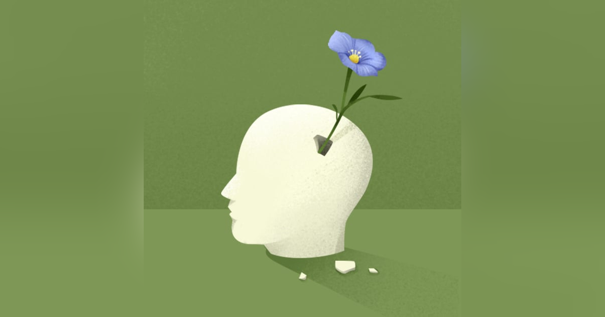 The Brain That Changes Itself by Norman Doidge The Brain That Changes Itself by Norman Doidge