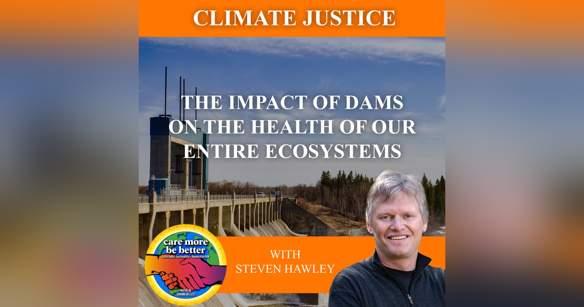 The Impact Of Dams On The Health Of Our Entire Ecosystems With Steven Hawley The Impact Of Dams On The Health Of Our Entire Ecosystems With Steven Hawley