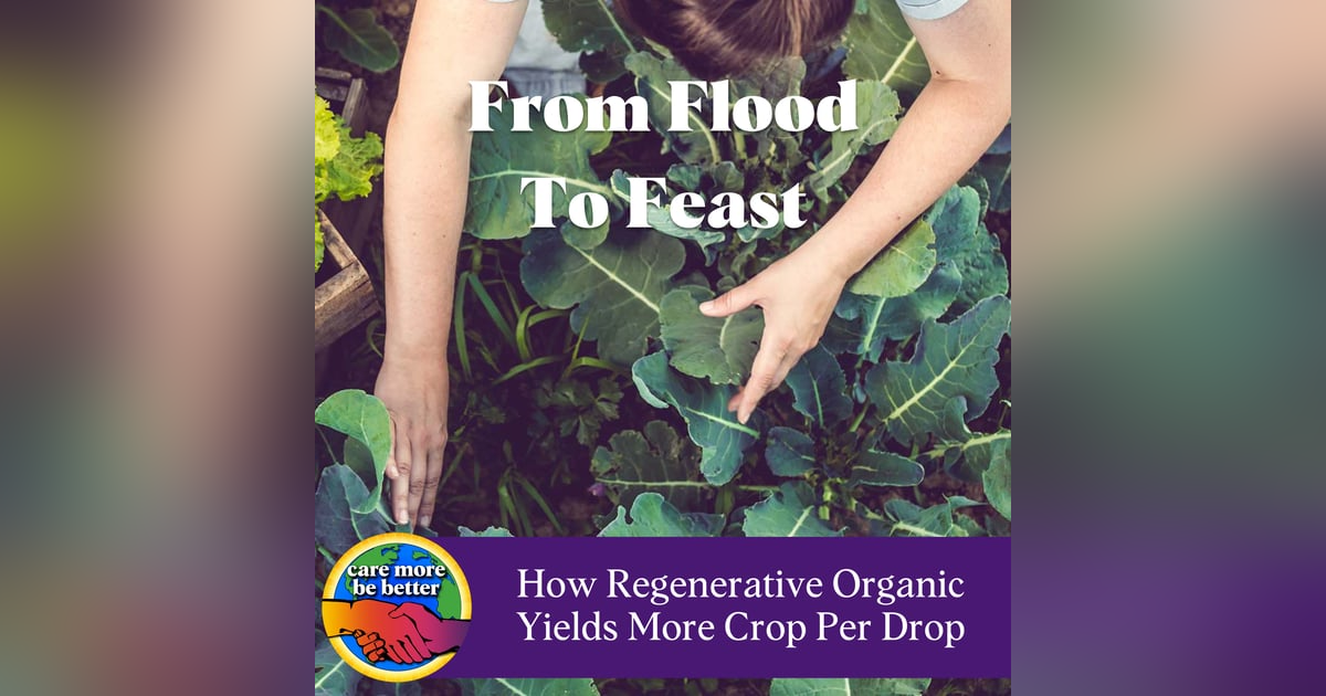 From Flood To Feast: How Regenerative Organic Farming Yields More Crop Per Drop with Caryl Levine & Ken Lee, founders of Lotus Foods From Flood To Feast: How Regenerative Organic Farming Yields More Crop Per Drop with Caryl Levine & Ken Lee, founders of Lotus Foods