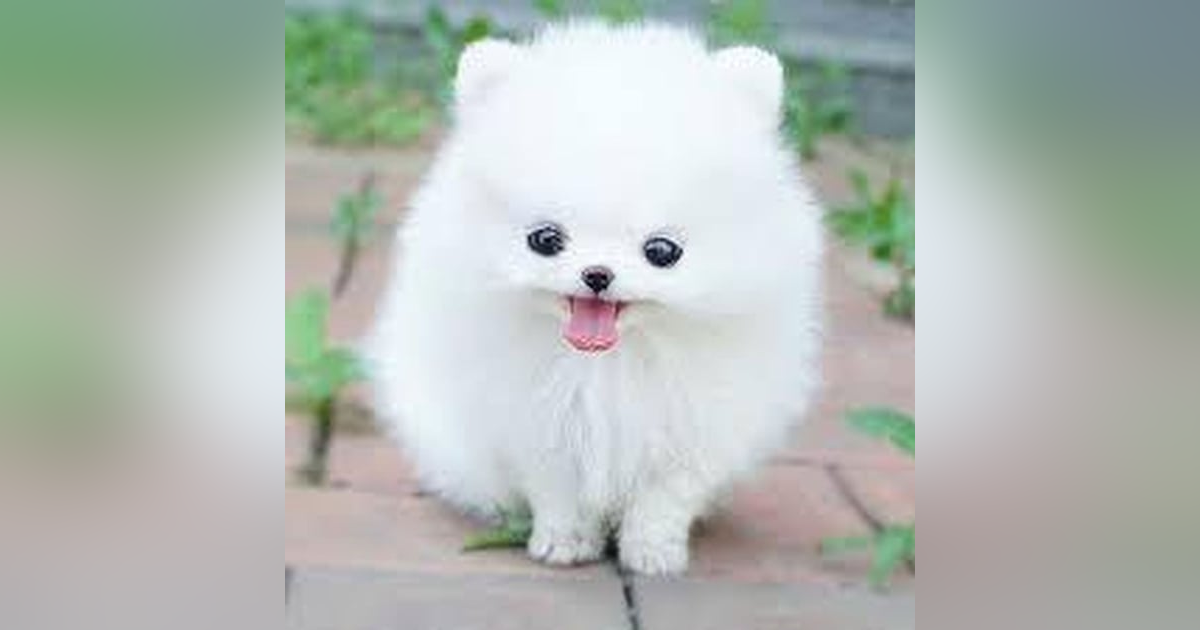 20: Party In China Episode 20 20: Party In China Episode 20