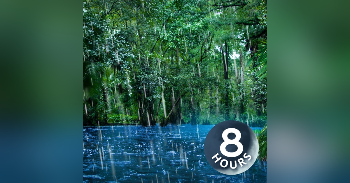 Sleep to Relaxing Raindrops + Water Sounds 8 Hours Sleep to Relaxing Raindrops + Water Sounds 8 Hours