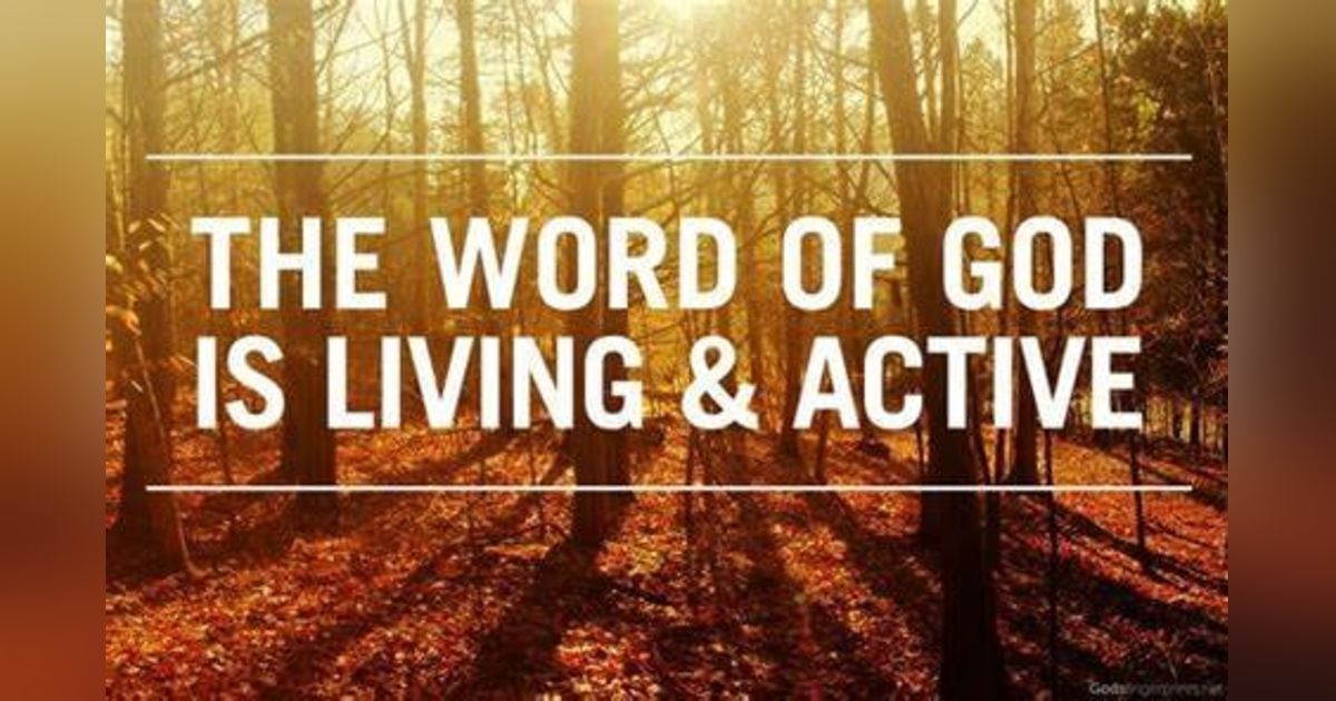 How is the Word of God Living and Active + Dangers of Daily Bible Reading #318 How is the Word of God Living and Active + Dangers of Daily Bible Reading #318
