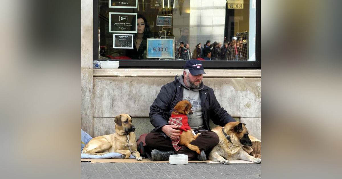 1247. Should Homeless People Have Pets? 1247. Should Homeless People Have Pets?