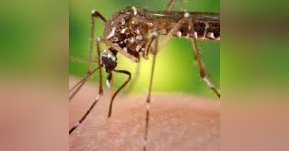 S7 E3: 100 Seconds to Midnight: Global Change and Emerging Disease S7 E3: 100 Seconds to Midnight: Global Change and Emerging Disease