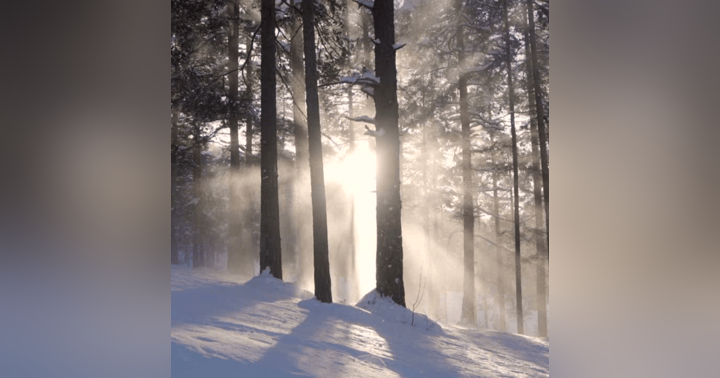 image for Embracing the Winter Solstice: Holistic Strategies for Wellness and Releasing The ADHD Label During Wintertime