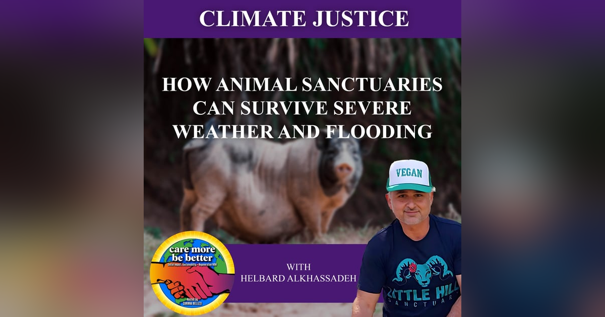 How Animal Sanctuaries Can Survive Severe Weather And Flooding With Helbard Alkhassadeh How Animal Sanctuaries Can Survive Severe Weather And Flooding With Helbard Alkhassadeh