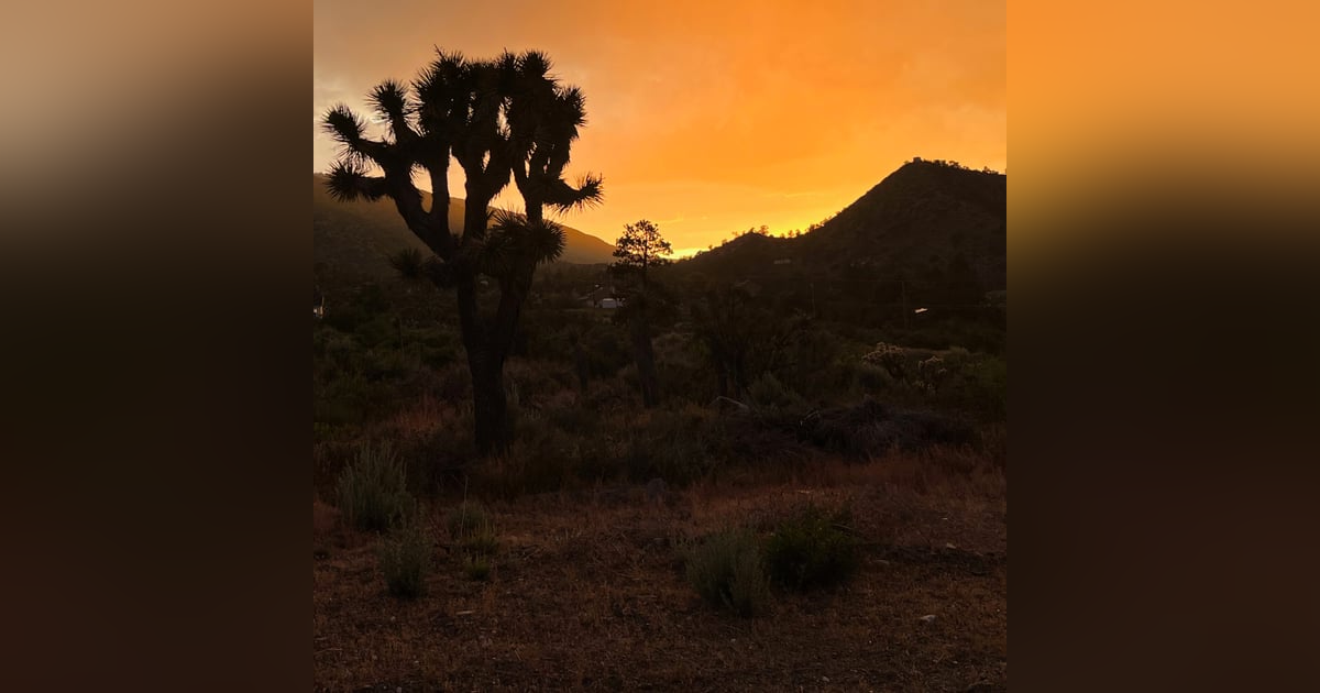 Why So Negative? Why So Negative?