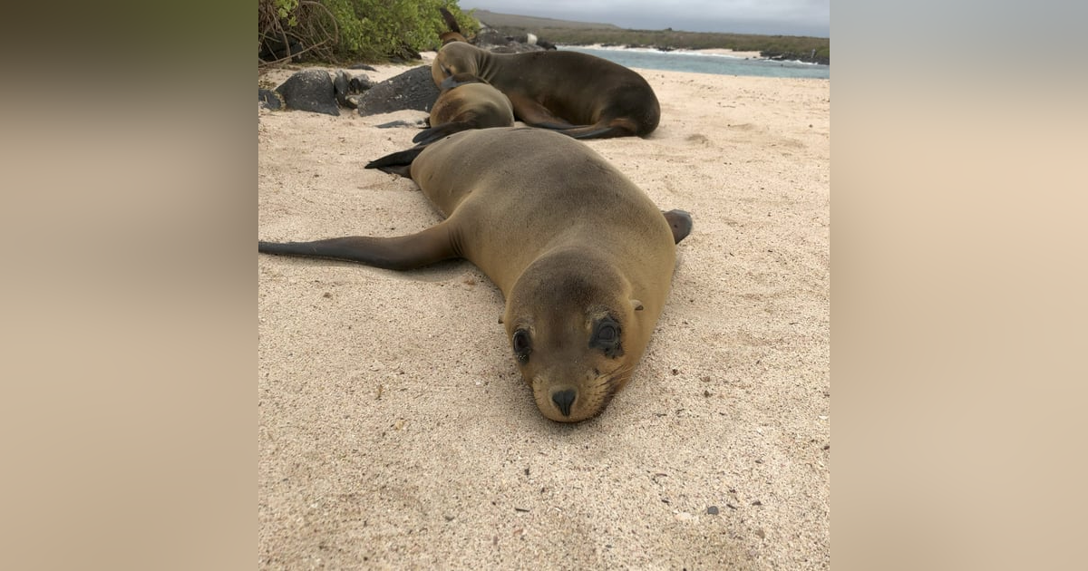 Episode #40 Episode #40