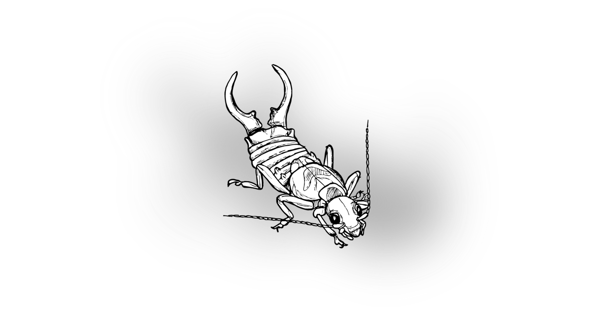 The Earwig The Earwig