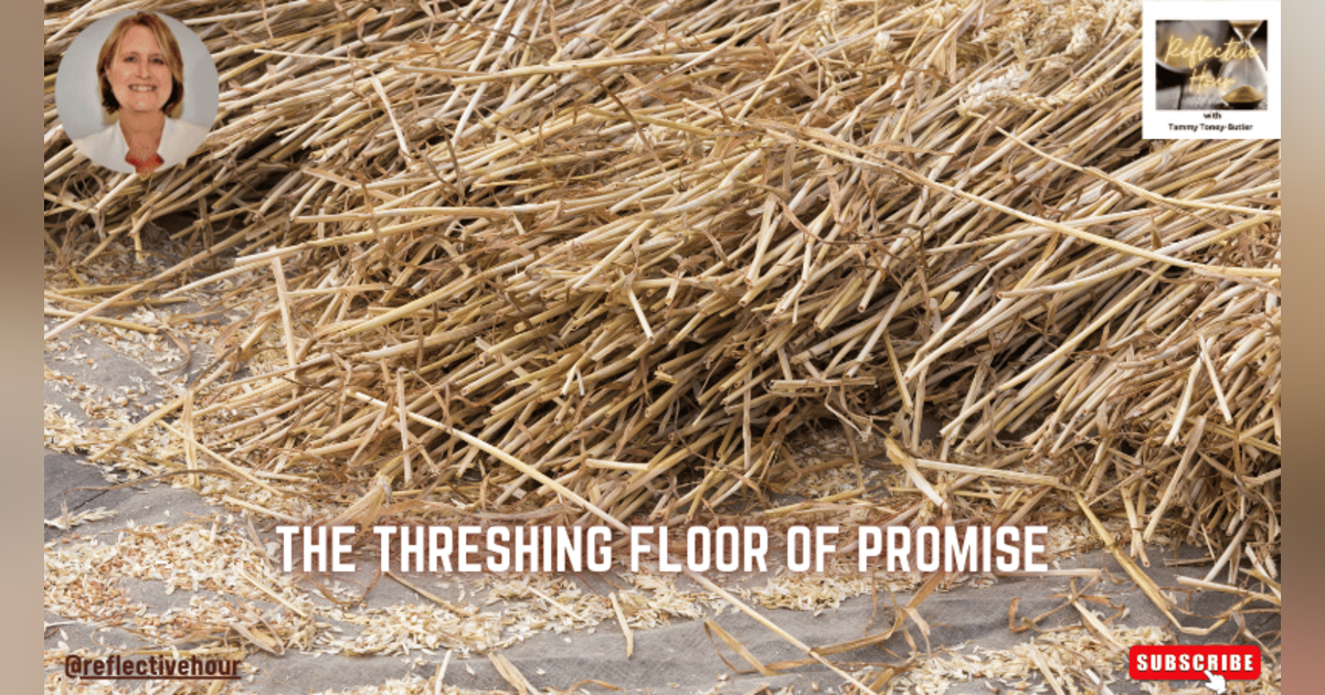 The Threshing Floor of Promise The Threshing Floor of Promise