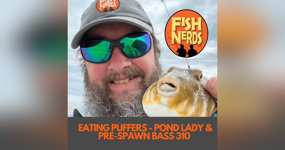 EATING PUFFERS - POND LADY & PRE-SPAWN BASS 310 EATING PUFFERS - POND LADY & PRE-SPAWN BASS 310