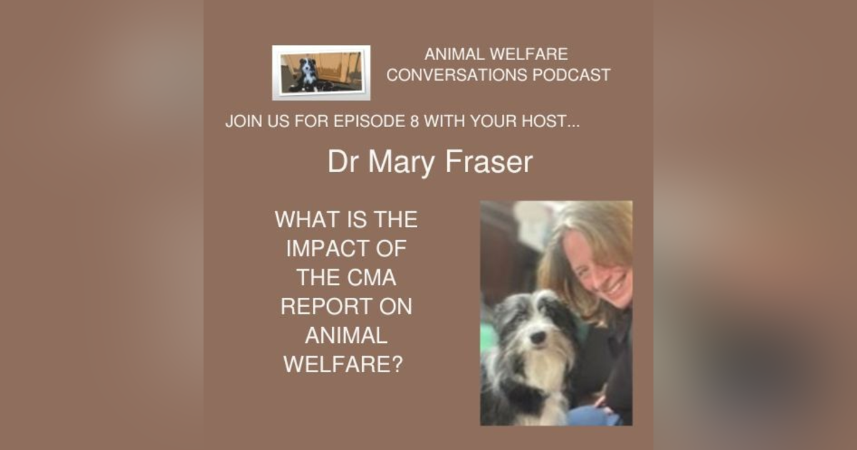 Episode 8 - Animal welfare and the CMA report Episode 8 - Animal welfare and the CMA report