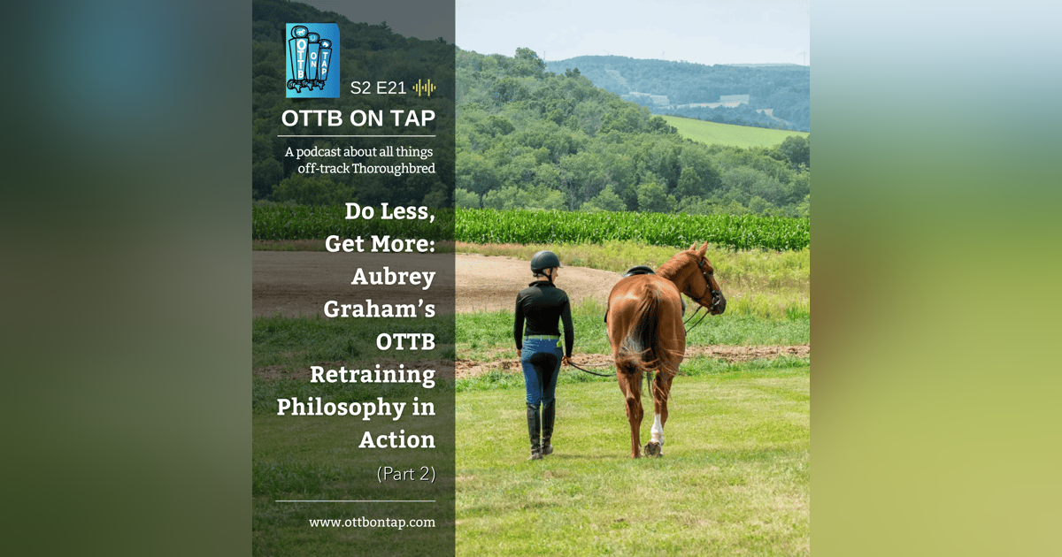 S2 E21: Do Less Get More: Aubrey Graham's OTTB Retraining Philosophy in Action (Part 2) S2 E21: Do Less Get More: Aubrey Graham's OTTB Retraining Philosophy in Action (Part 2)