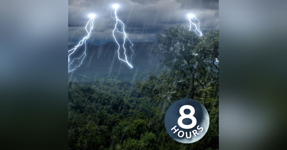 Rainforest Thunder & Rain Sleep Sounds 8 Hours | White Noise Rainforest Thunder & Rain Sleep Sounds 8 Hours | White Noise