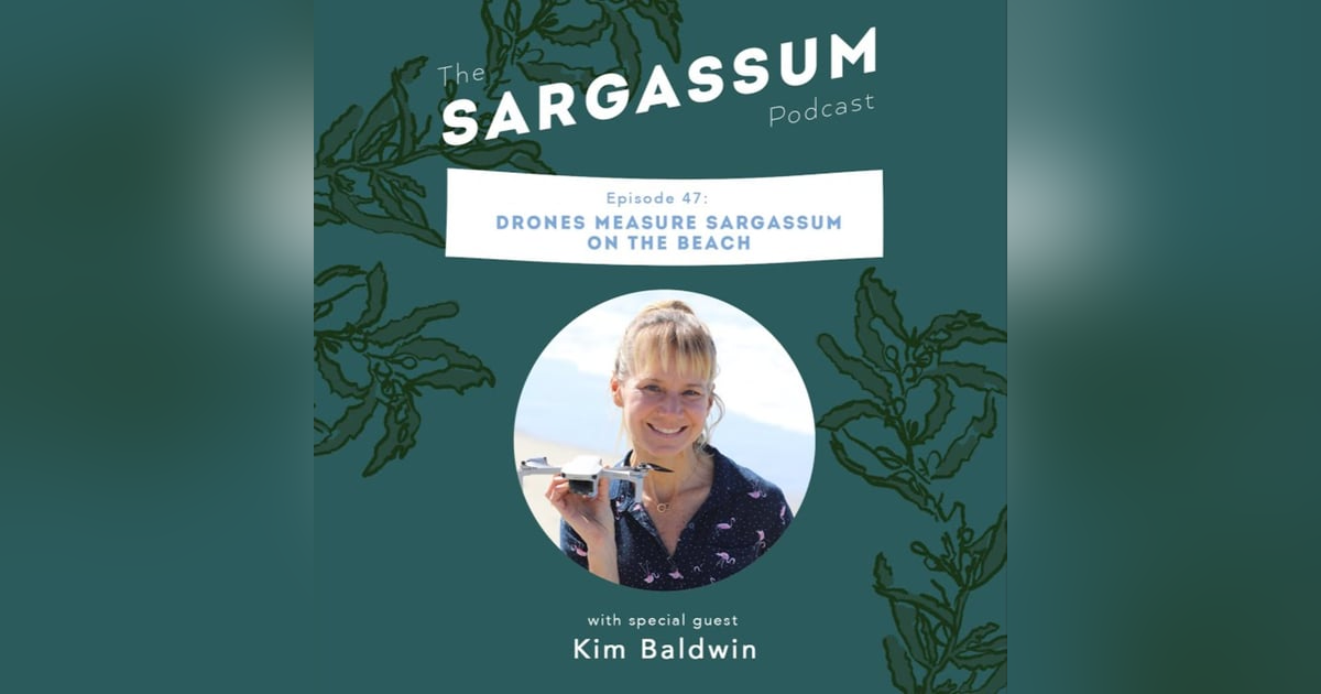 Sargassum podcast Ep 47: How drones can help quantify Sargassum with Kim Baldwin Sargassum podcast Ep 47: How drones can help quantify Sargassum with Kim Baldwin