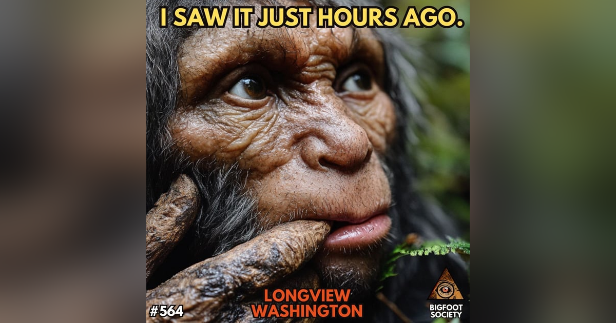 I Saw It Just Hours Ago! I Saw It Just Hours Ago!