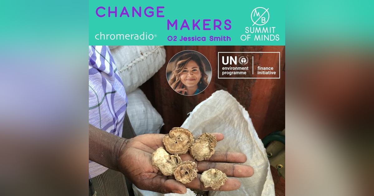 CHANGEMAKERS 02 | J Smith, UN Environment Programme Finance Initiative CHANGEMAKERS 02 | J Smith, UN Environment Programme Finance Initiative