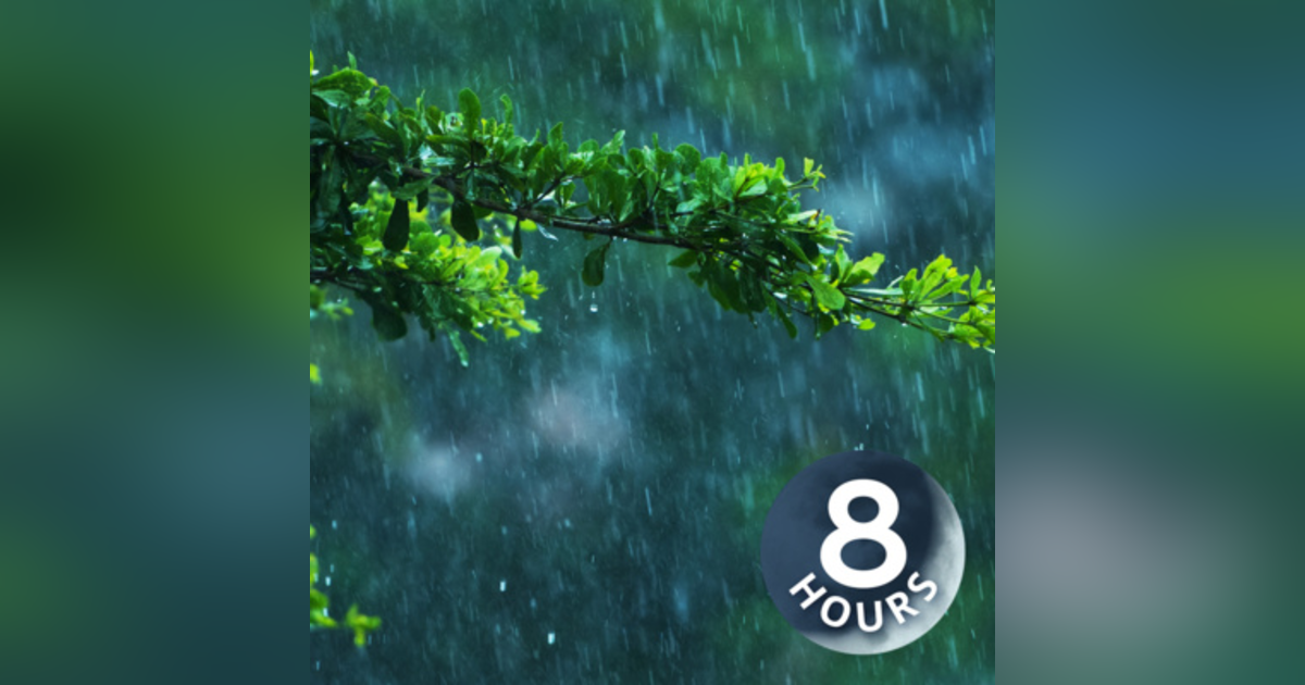 Jungle Rain Sounds for Sleep I White Noise Raining 8 Hours Jungle Rain Sounds for Sleep I White Noise Raining 8 Hours