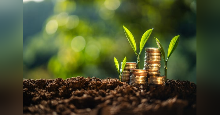 image for Bliss Investing: Aligning Profit with Purpose for Sustainable Growth