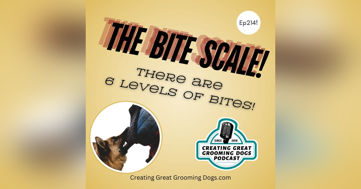 The Bite Scale Ep214 The Bite Scale Ep214