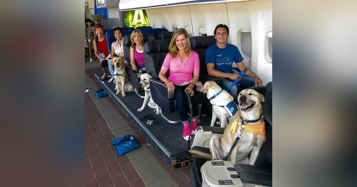1299. Actress Megan Blake Is Teaching Dogs To Fly 1299. Actress Megan Blake Is Teaching Dogs To Fly