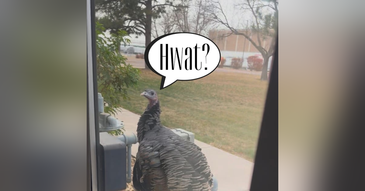 66: 100% Safe to Drink 66: 100% Safe to Drink