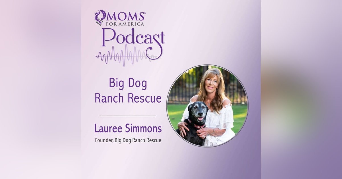 Big Dog Ranch Rescue Big Dog Ranch Rescue