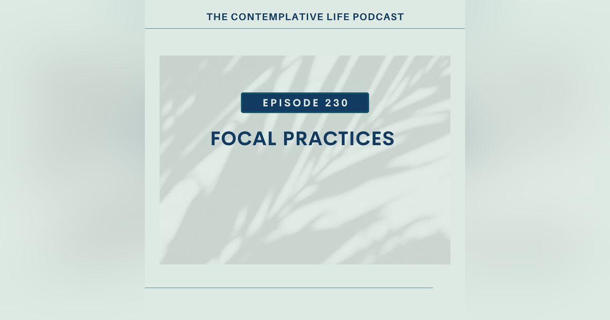 E 230 Focal Practices E 230 Focal Practices