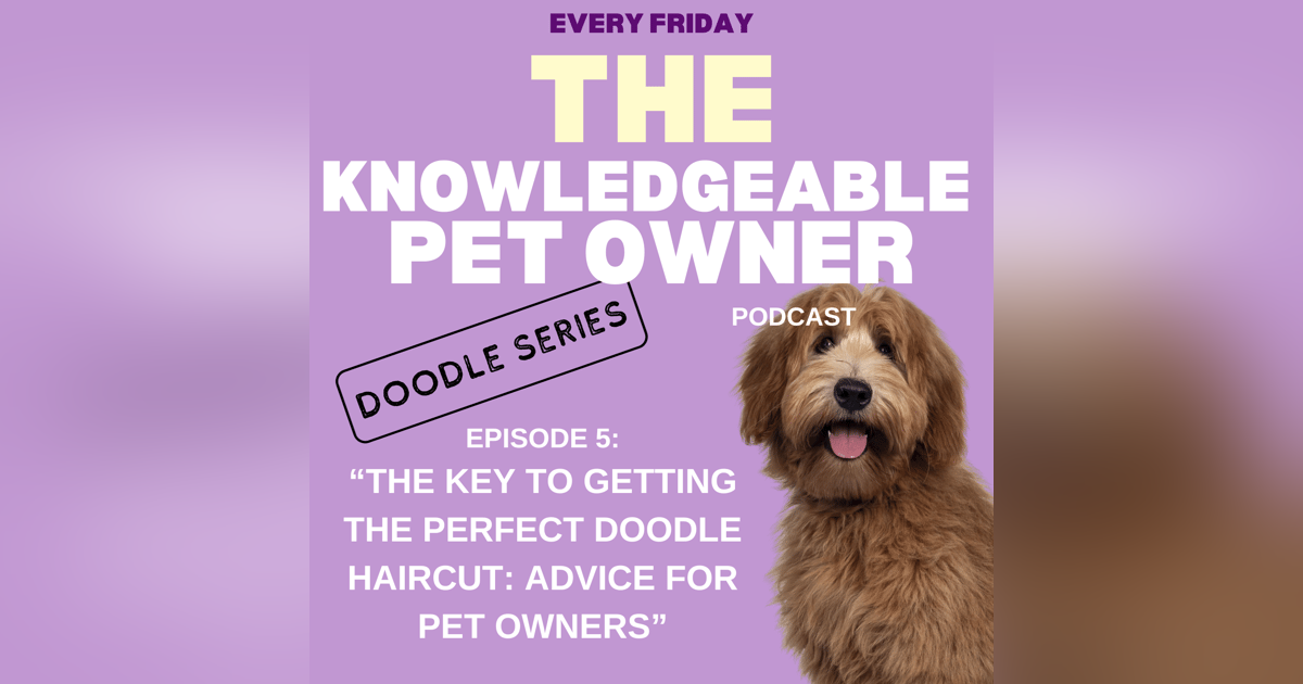 The Key to Getting the Perfect Doodle Haircut: Advice for Pet Owners The Key to Getting the Perfect Doodle Haircut: Advice for Pet Owners