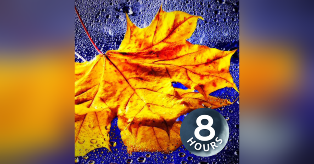 Gentle Rain Sounds for Relaxation or Sleep 8 Hours Gentle Rain Sounds for Relaxation or Sleep 8 Hours