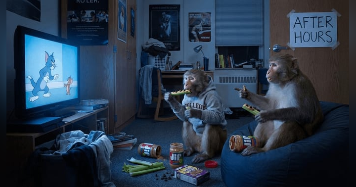 image for BEHIND THE MIC: Episode 3 - Monkeys, Cows, Rabies and a Very Long Plastic Sleeve