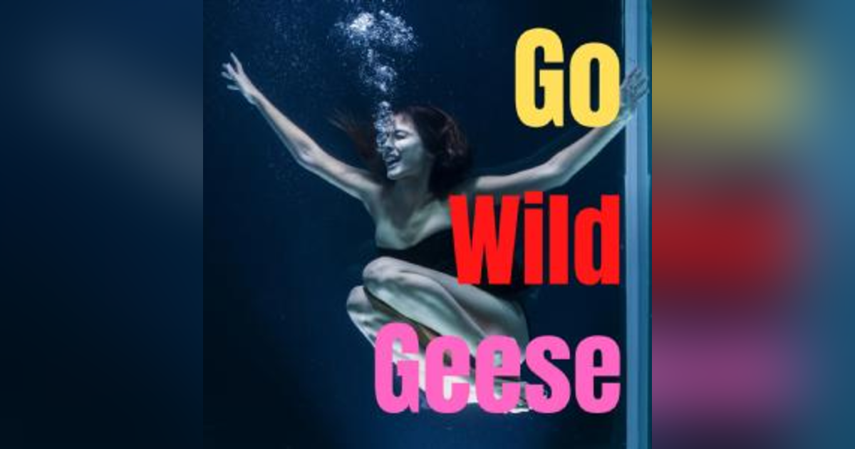 Go Wild Geese Go Wild Geese