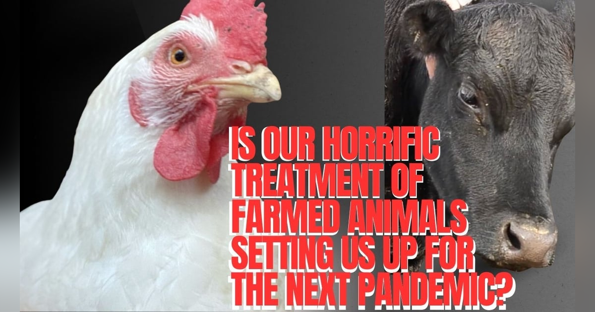 UnchainedTV: Could Bird Flu Be the Next Pandemic? UnchainedTV: Could Bird Flu Be the Next Pandemic?