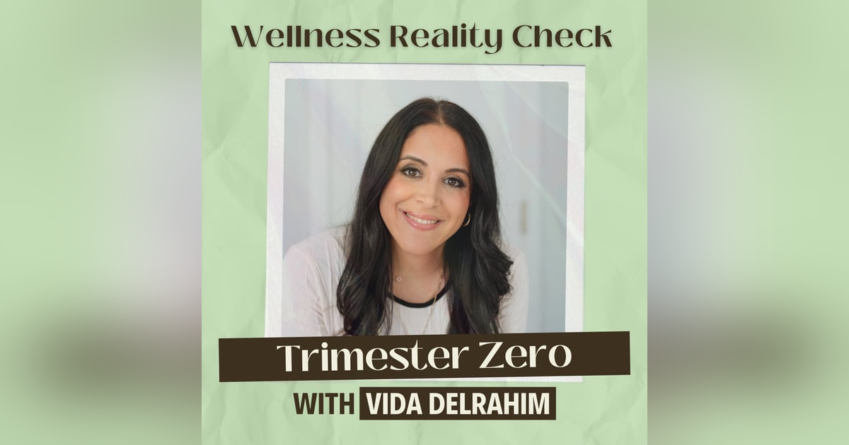 59 - Trimester Zero: The Foundation that Shapes Pregnancy, Birth & Baby with Vida Delrahim of WeNatal 59 - Trimester Zero: The Foundation that Shapes Pregnancy, Birth & Baby with Vida Delrahim of WeNatal