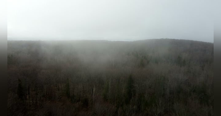 image for We are not left behind