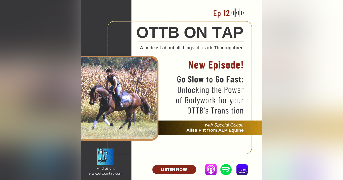 Ep.12 -- Go Slow To Go Fast: Unlocking The Power of Bodywork for your OTTBs Transition w/Alisa Pitt Ep.12 -- Go Slow To Go Fast: Unlocking The Power of Bodywork for your OTTBs Transition w/Alisa Pitt