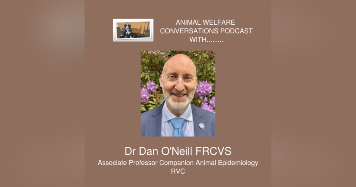 Dr Dan O'Neill - What makes a good life? Part 1 Dr Dan O'Neill - What makes a good life? Part 1