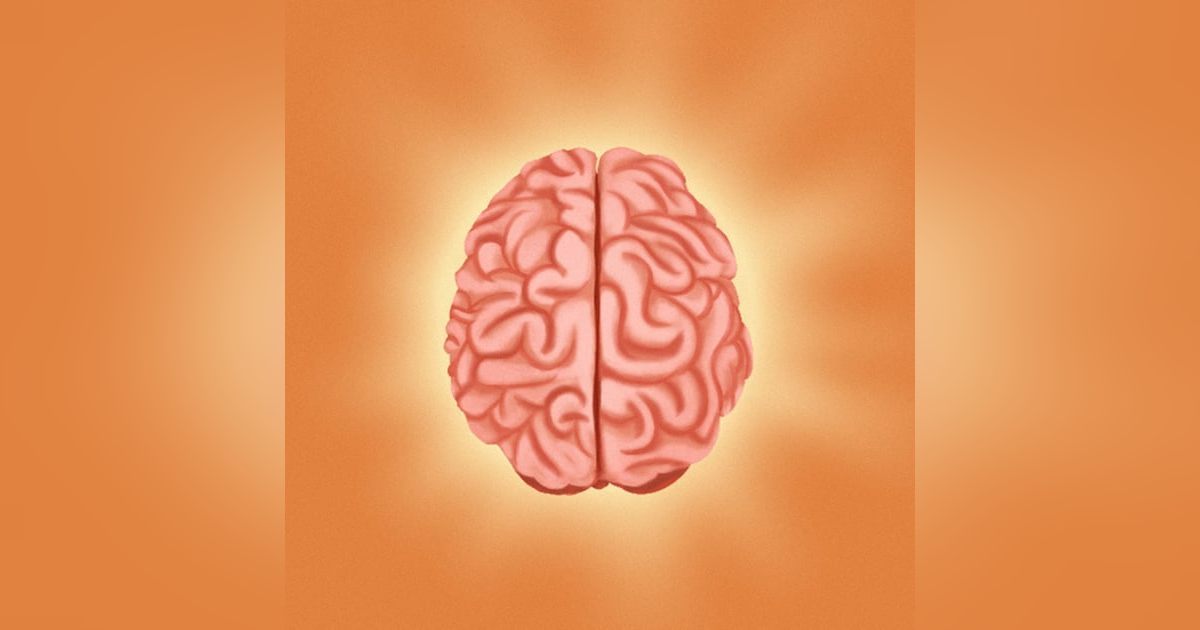 Brain Rules: 12 Principles for Surviving and Thriving at Work, Home, and School by John Medina Brain Rules: 12 Principles for Surviving and Thriving at Work, Home, and School by John Medina