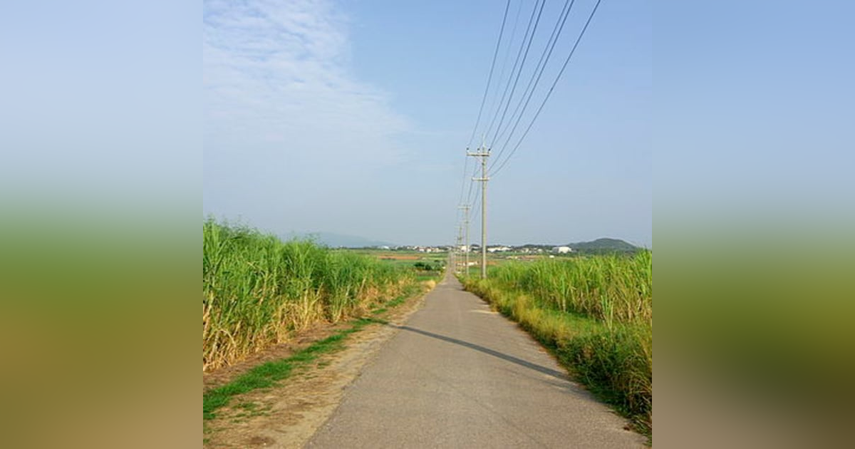 Ryukyu & Rum Feat. Andrew Loviska Ryukyu & Rum Feat. Andrew Loviska