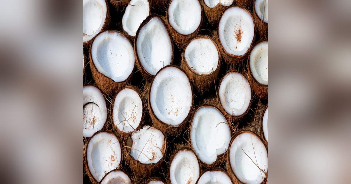 242: Pod 242 : Strawberry or Coconut 242: Pod 242 : Strawberry or Coconut