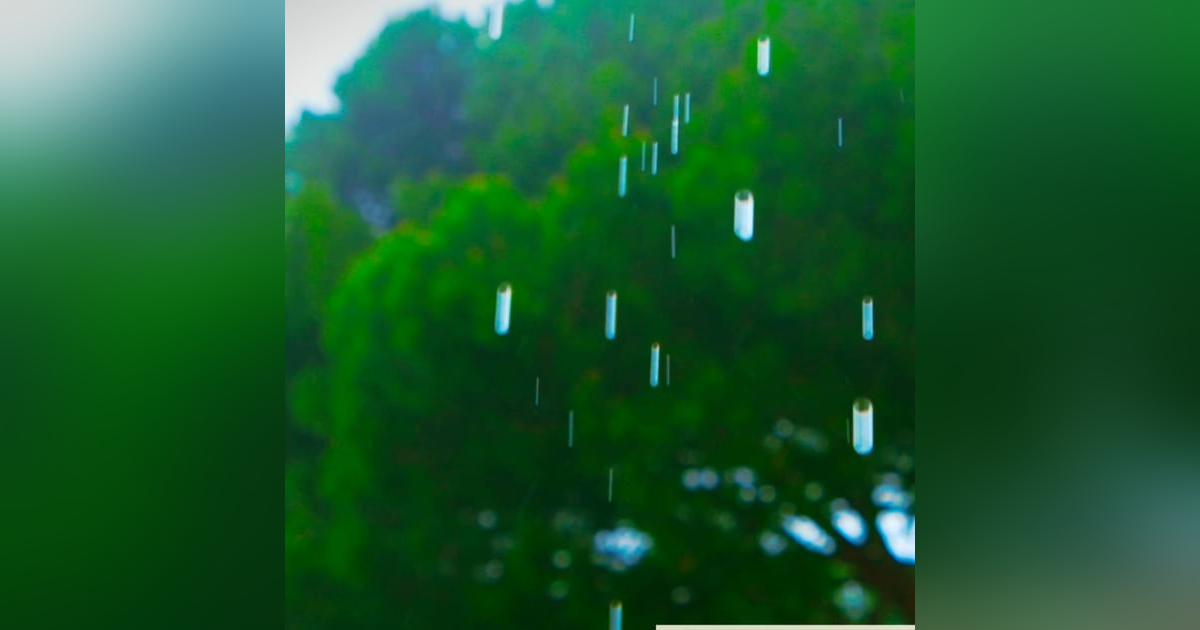 12 Hours Relaxing Summer Rain Sounds for Sleep & Stress Relief 12 Hours Relaxing Summer Rain Sounds for Sleep & Stress Relief