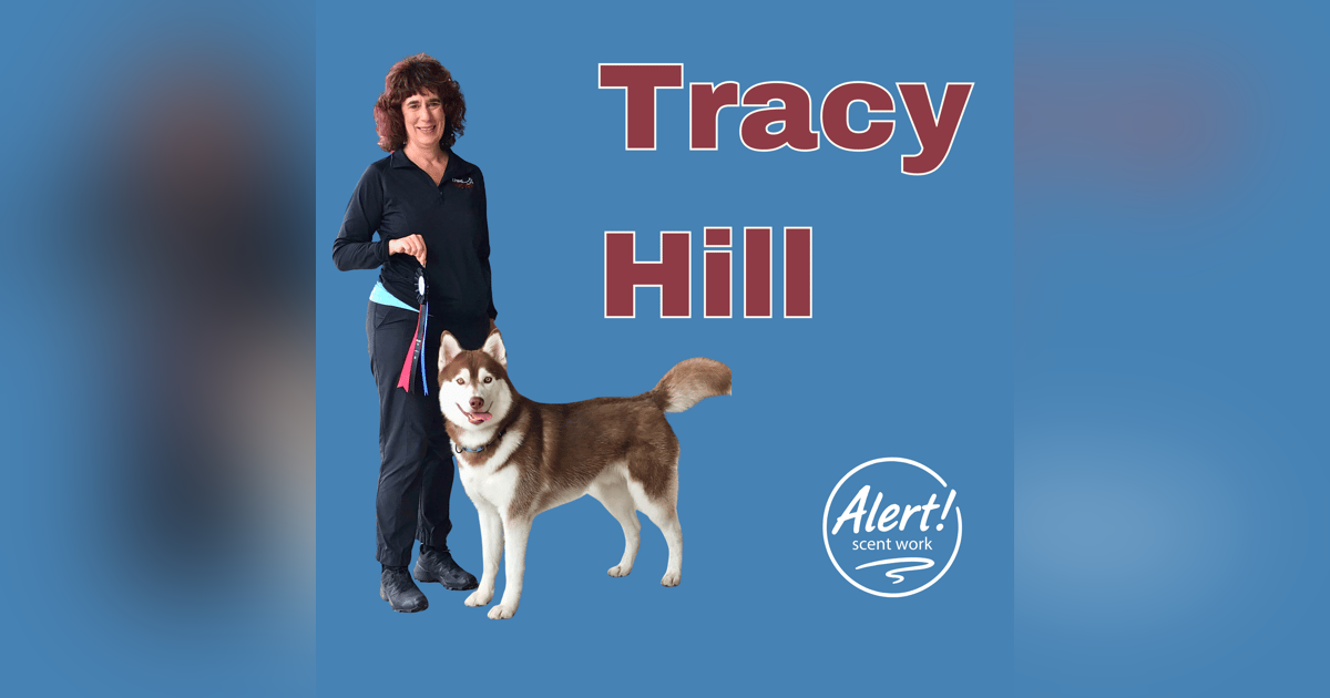 Tracy Hill | Setbacks, Sick Dogs, and Showing Up Anyway Tracy Hill | Setbacks, Sick Dogs, and Showing Up Anyway