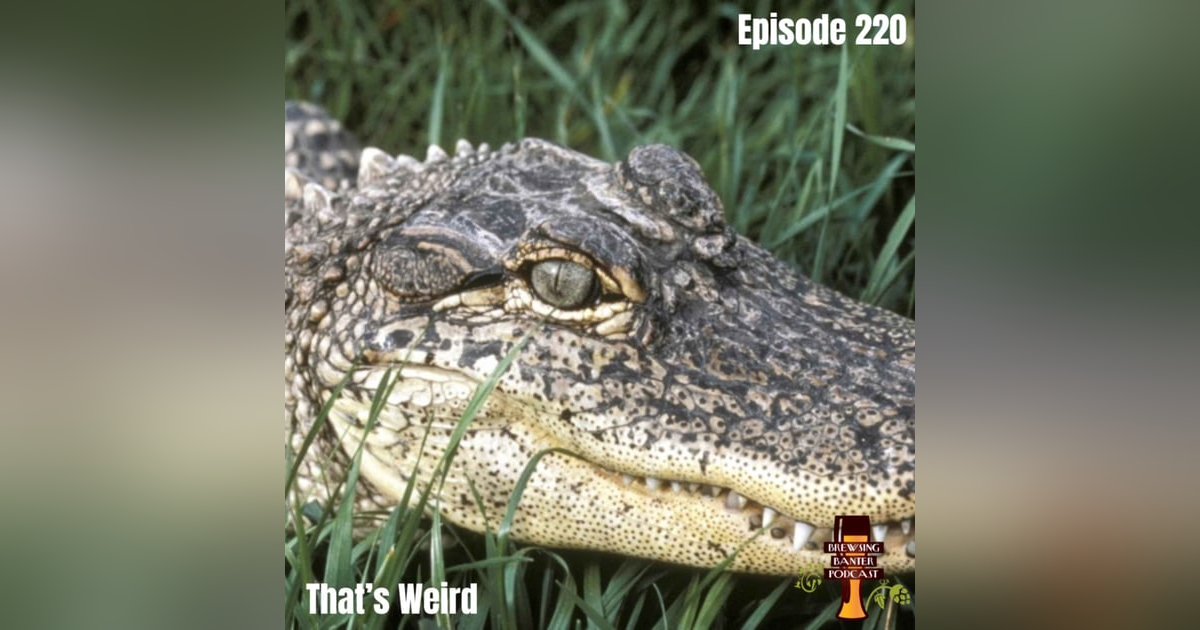 BBP 220 - That's Weird BBP 220 - That's Weird